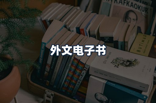 外文电子书